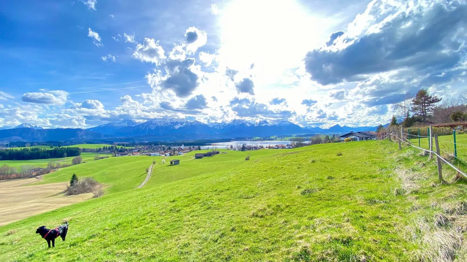 アパート Best Butler Lovebirds I Kueche I Parken I Bergblick I Seenaehe フュッセン ドイツ